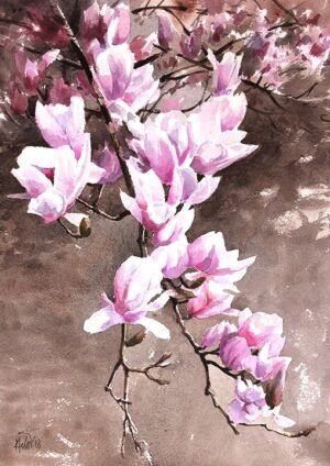 Magnoliam ,16.5 x11.7" watercolor on paper